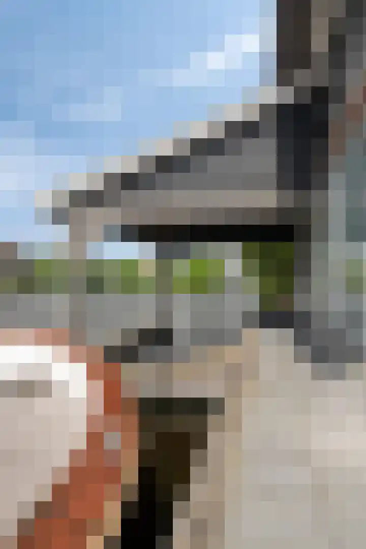 Jonenweg 5 R 535 Giethoorn thumbnail 29