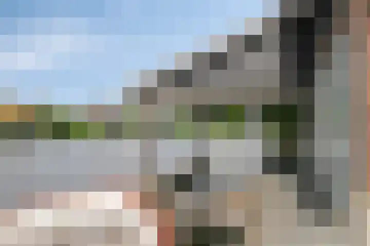 Jonenweg 5 R 535 Giethoorn thumbnail 30