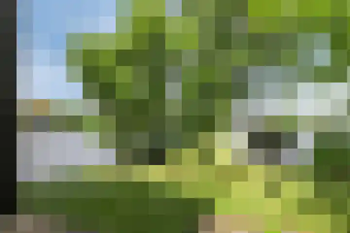 Jonenweg 5 R 535 Giethoorn thumbnail 31