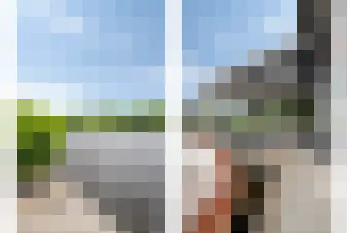 Jonenweg 5 R 535 Giethoorn thumbnail 4