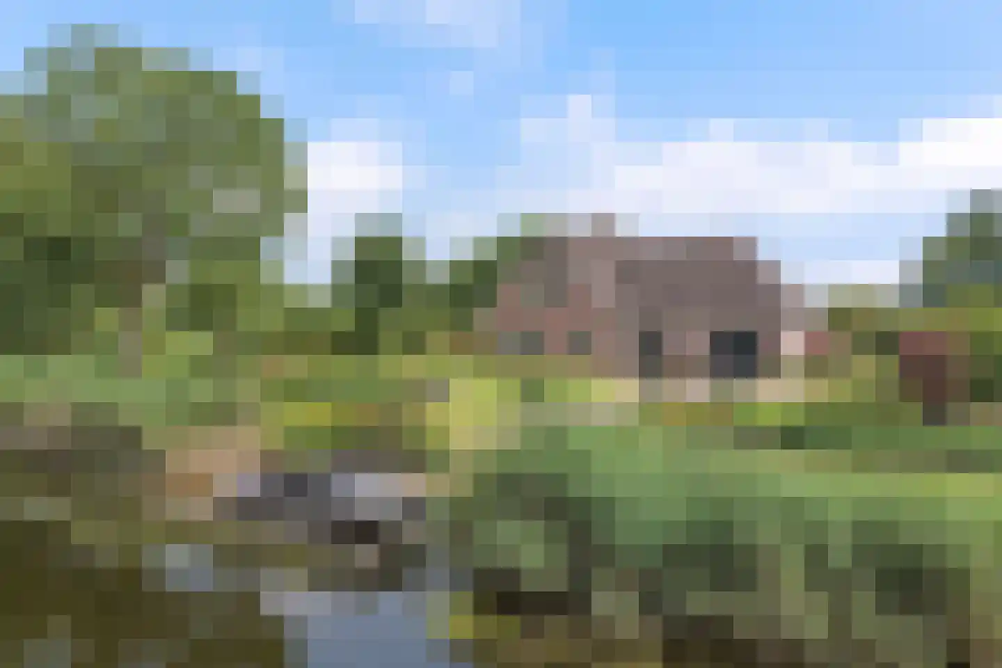 Jonenweg 7 a Giethoorn thumbnail 45