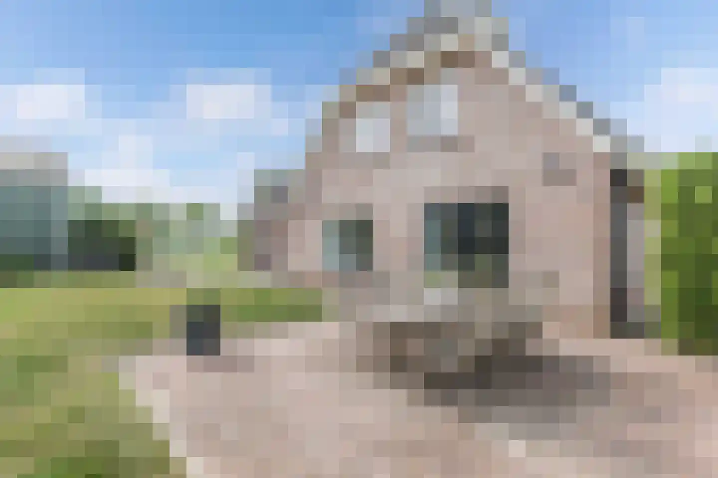 Jonenweg 7 a Giethoorn thumbnail 50
