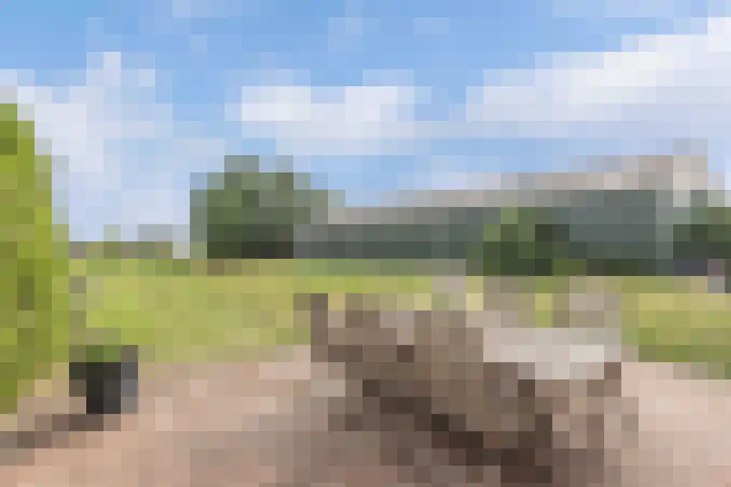 Jonenweg 7 a Giethoorn thumbnail 51
