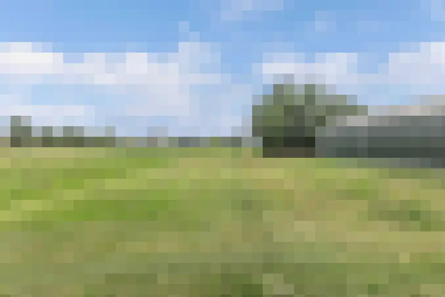 Jonenweg 7 a Giethoorn thumbnail 52