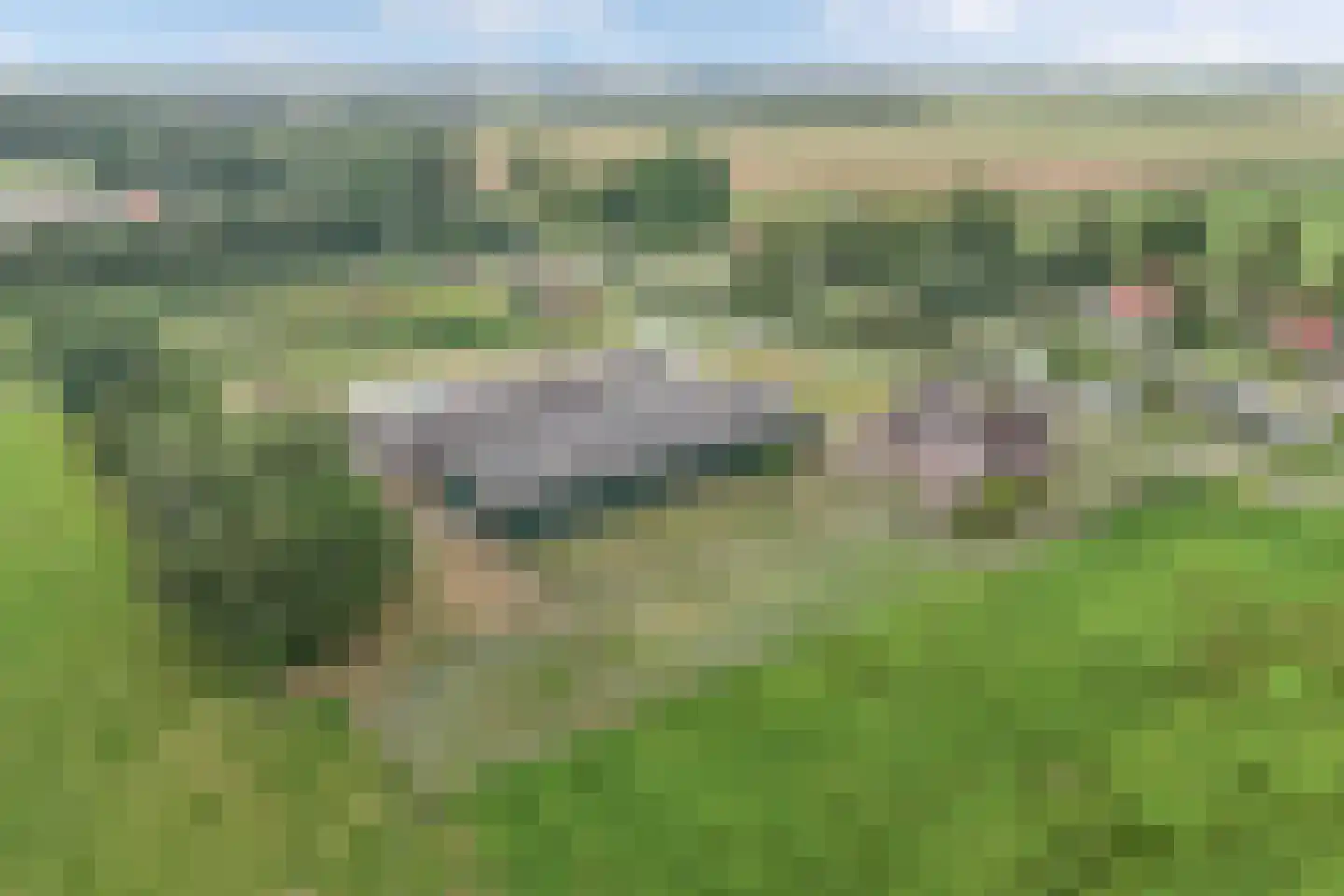 Jonenweg 7 a Giethoorn thumbnail 61
