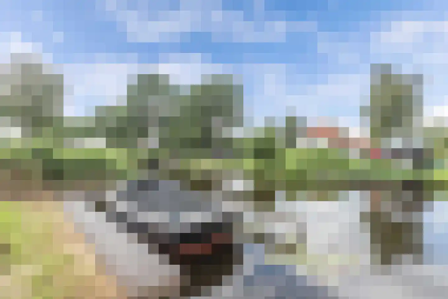 Jonenweg 7 a Giethoorn thumbnail 62