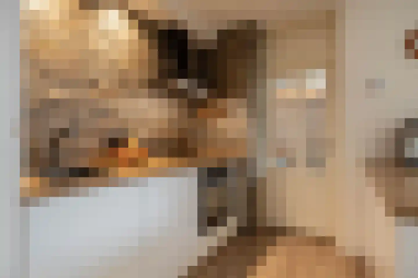 Jongamastate 7 Leeuwarden thumbnail 22