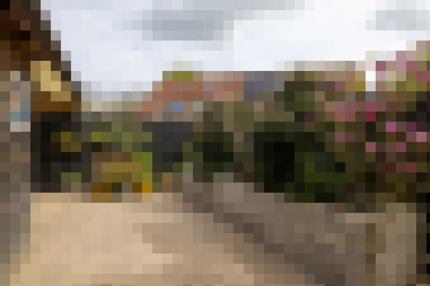 Jongamastate 7 Leeuwarden thumbnail 44