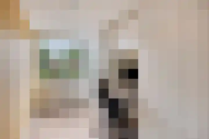 Jongbloedlaan 17 Soesterberg thumbnail 23