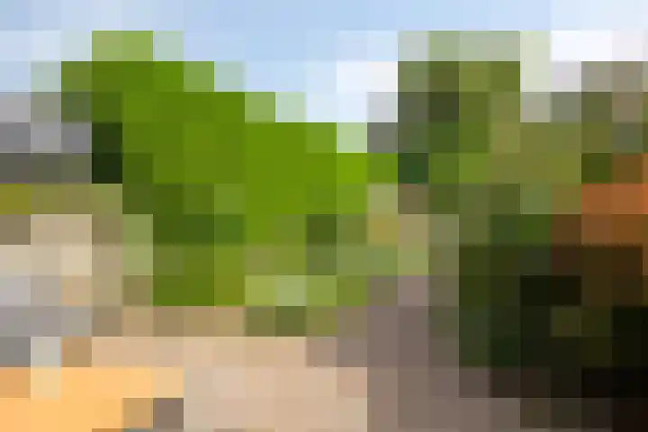 Jongbloedlaan 17 Soesterberg thumbnail 25
