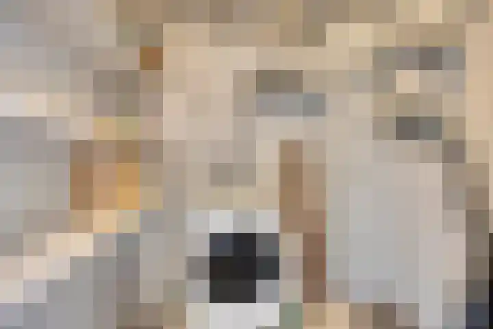 Jongbloedlaan 17 Soesterberg thumbnail 29