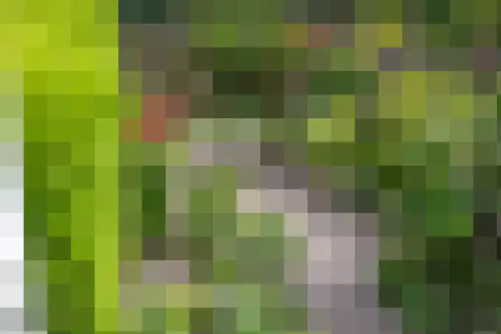 Jongbloedlaan 17 Soesterberg thumbnail 30
