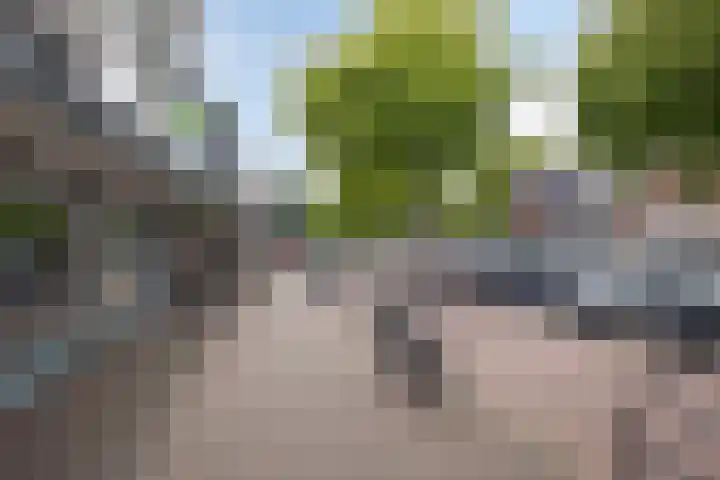 Jongbloedlaan 17 Soesterberg thumbnail 32