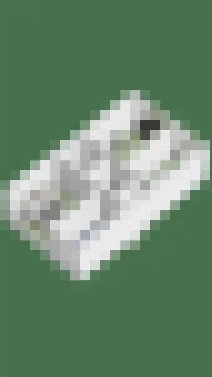 Jongbloedlaan 17 Soesterberg thumbnail 34