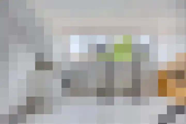 Jonge Arnoldusstraat 70 Zaandam thumbnail 23