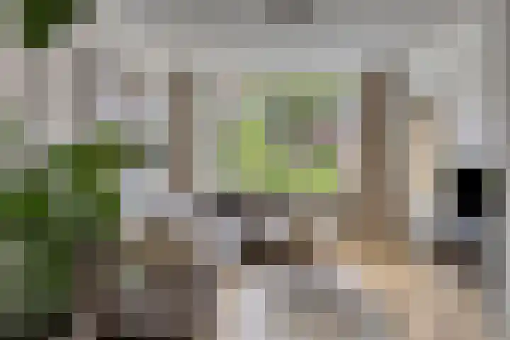 Jonge Arnoldusstraat 70 Zaandam thumbnail 4