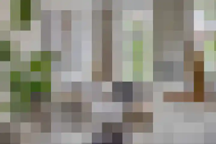 Jonge Arnoldusstraat 70 Zaandam thumbnail 5