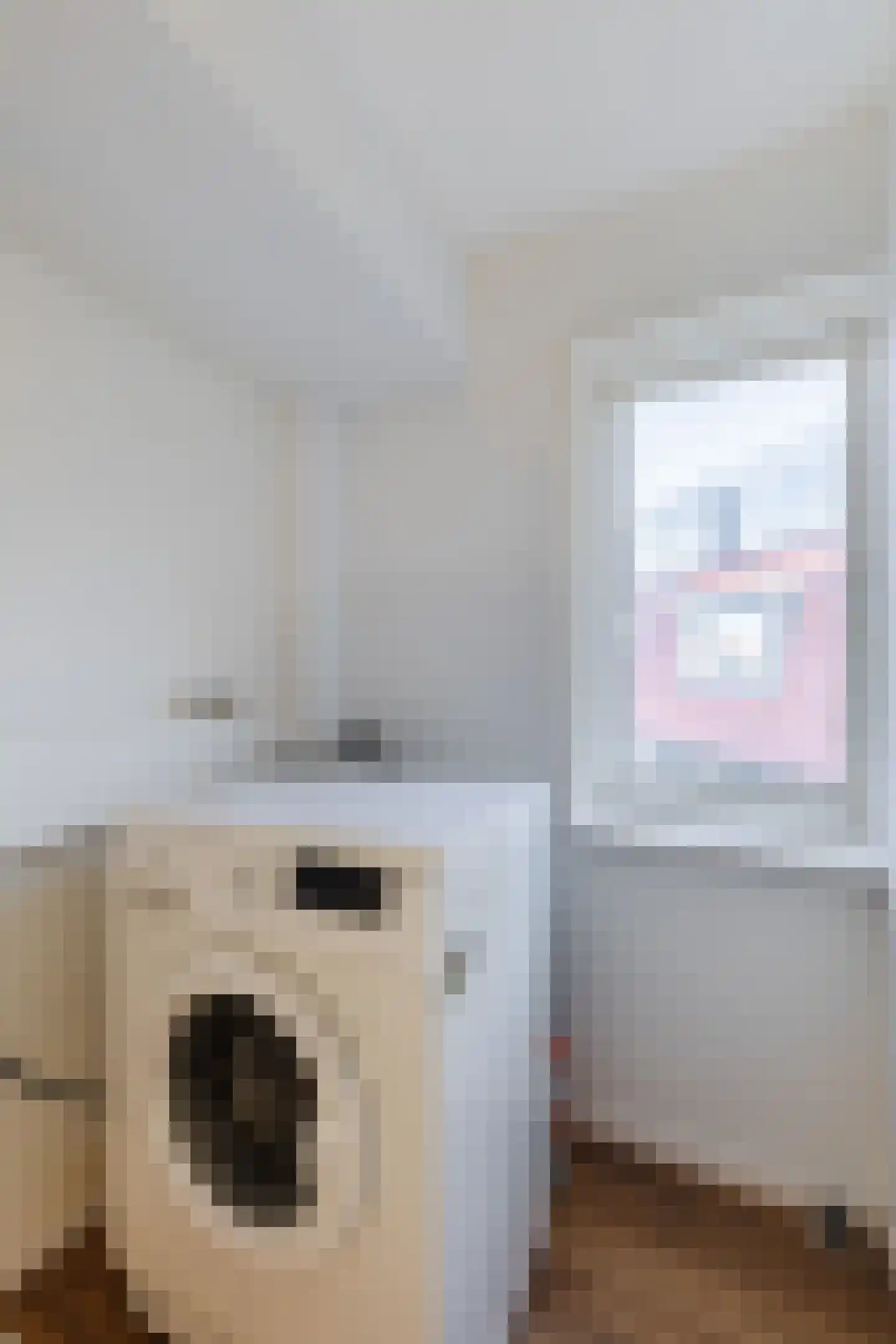 Jonge Arnoldusstraat 89 Zaandam thumbnail 21
