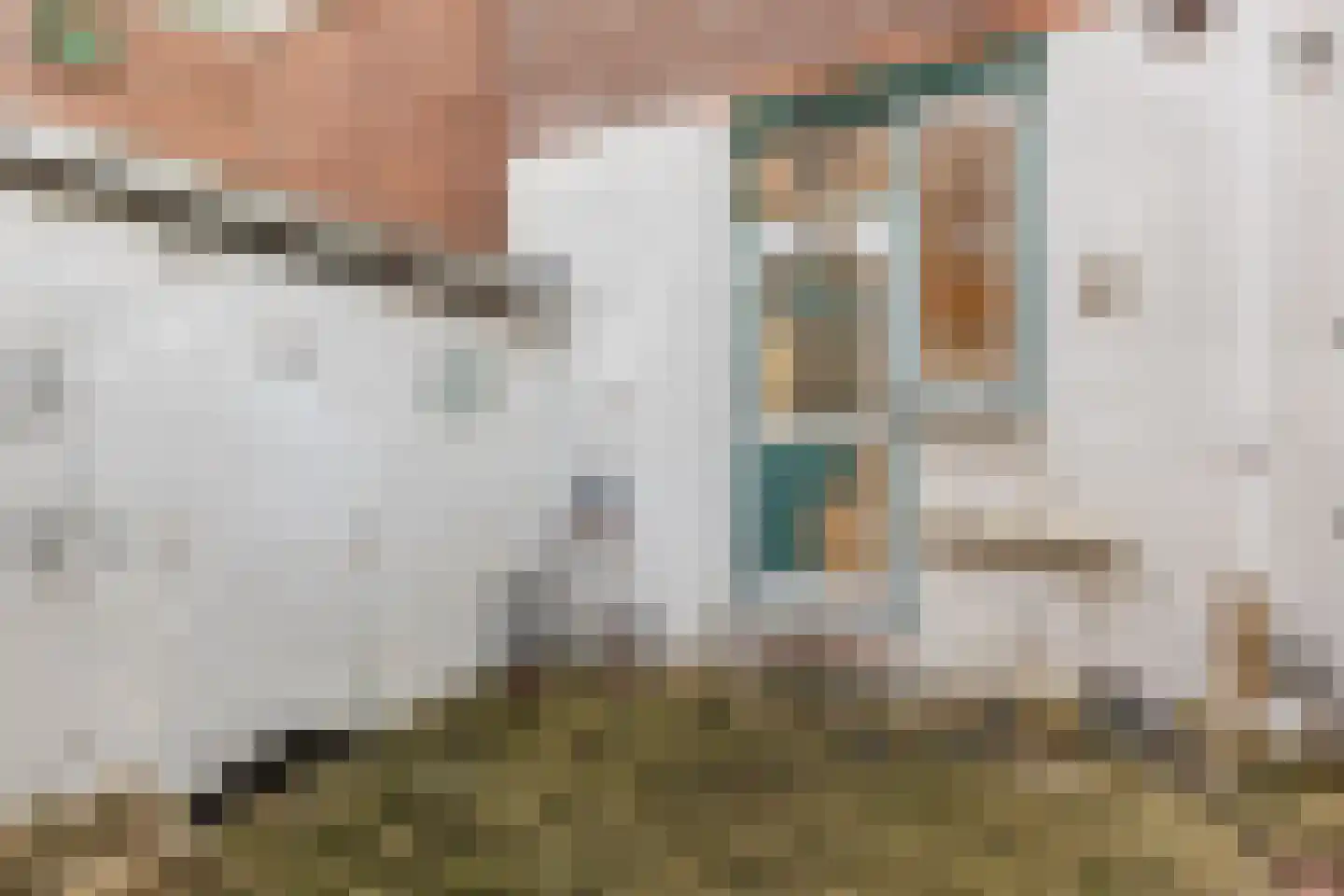 Jonge Arnoldusstraat 89 Zaandam thumbnail 23