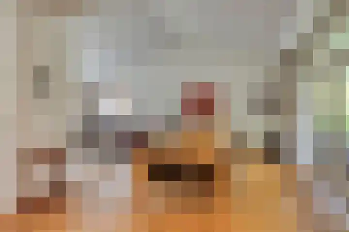 Jonge Hagen 17 Mheer thumbnail 12