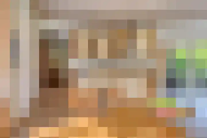 Jonge Hagen 17 Mheer thumbnail 17