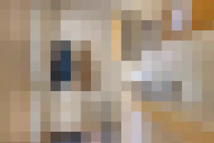 Jonge Hagen 17 Mheer thumbnail 18