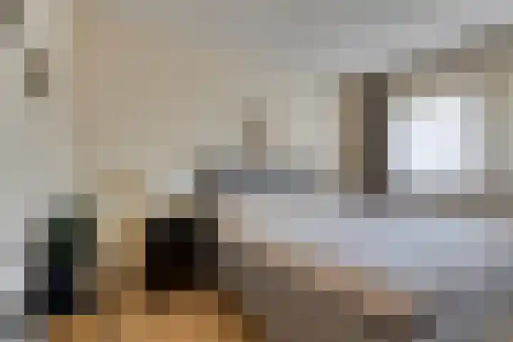 Jonge Hagen 17 Mheer thumbnail 20