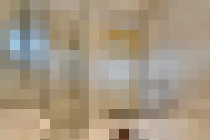 Jonge Hagen 17 Mheer thumbnail 23
