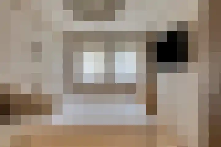 Jonge Hagen 17 Mheer thumbnail 24