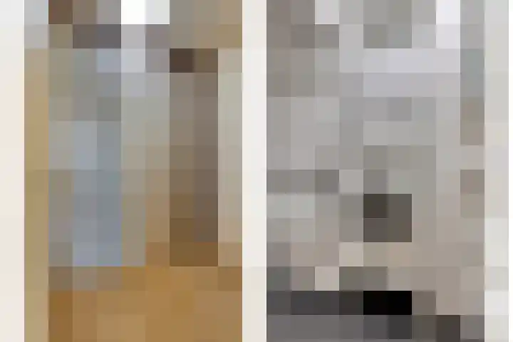 Jonge Hagen 17 Mheer thumbnail 28