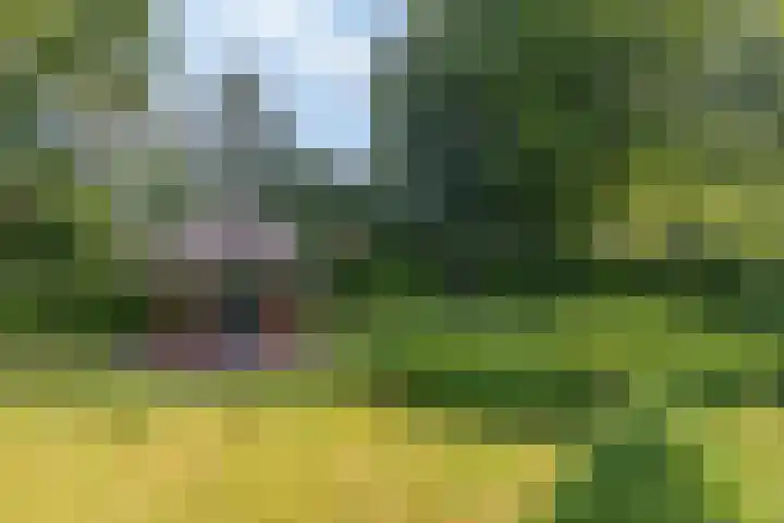 Jonge Hagen 17 Mheer thumbnail 29