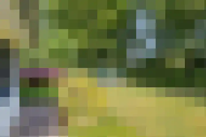 Jonge Hagen 17 Mheer thumbnail 30