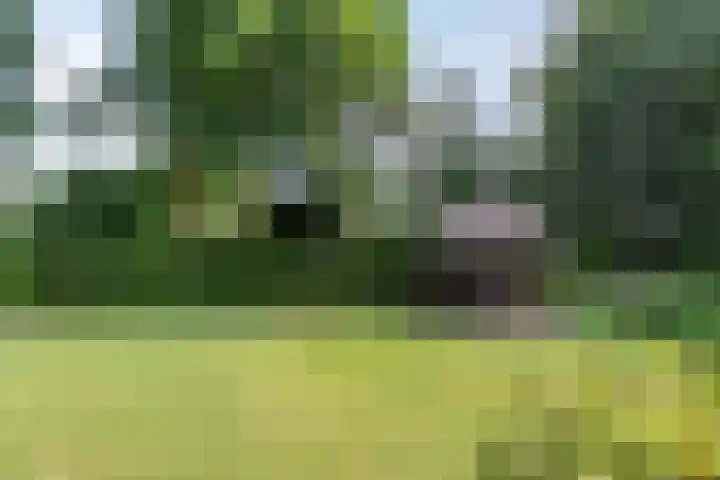 Jonge Hagen 17 Mheer thumbnail 32