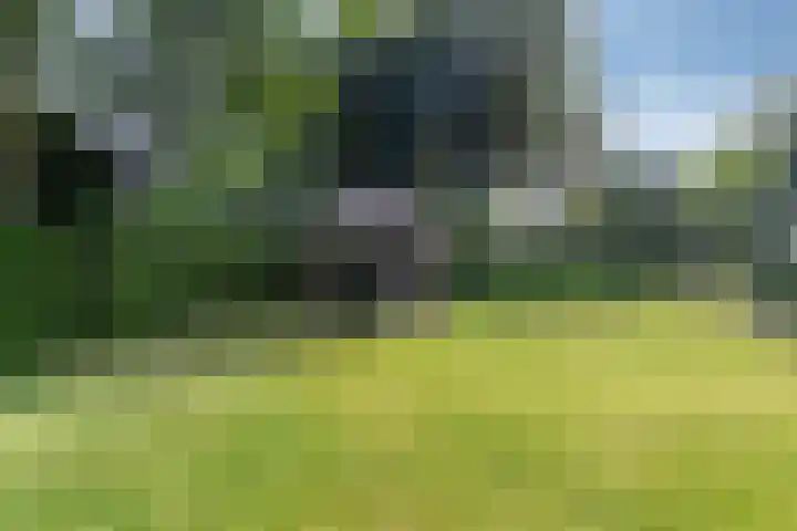 Jonge Hagen 17 Mheer thumbnail 35