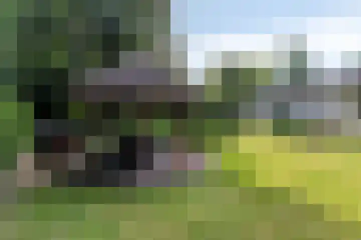 Jonge Hagen 17 Mheer thumbnail 36