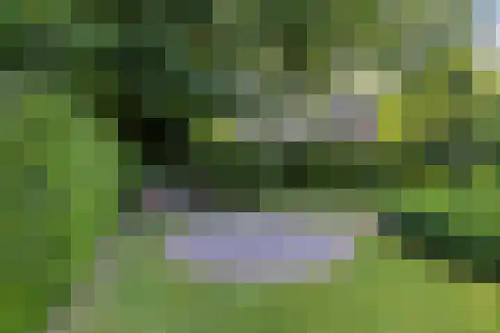Jonge Hagen 17 Mheer thumbnail 37