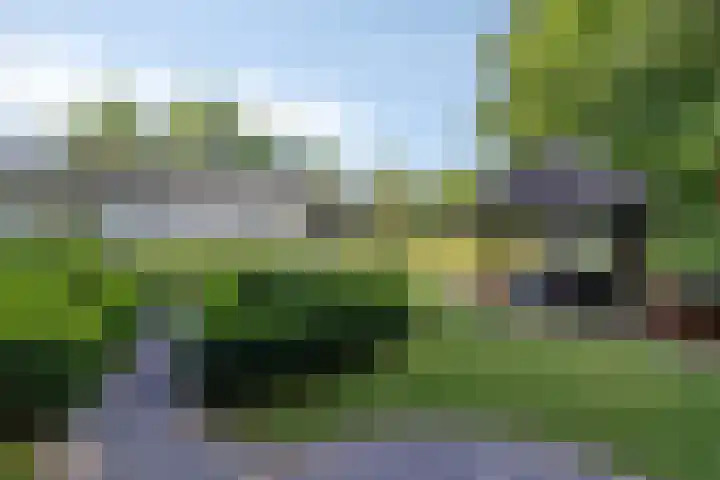 Jonge Hagen 17 Mheer thumbnail 38