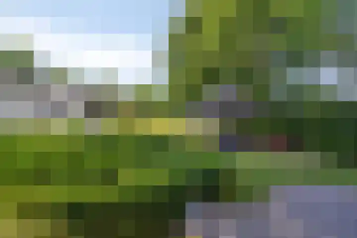Jonge Hagen 17 Mheer thumbnail 39