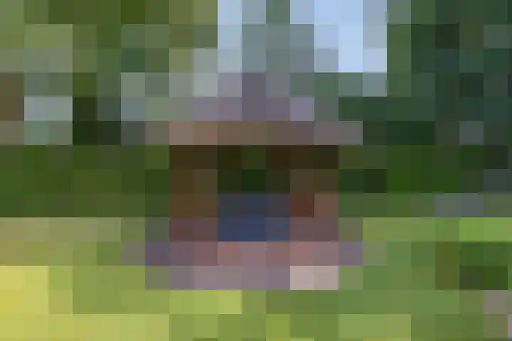Jonge Hagen 17 Mheer thumbnail 40