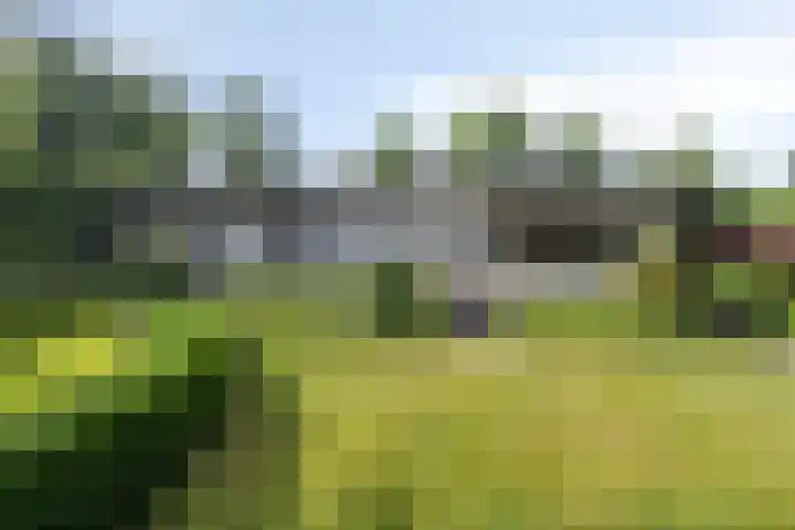 Jonge Hagen 17 Mheer thumbnail 41