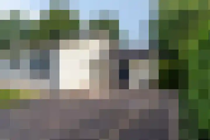 Jonge Hagen 17 Mheer thumbnail 44