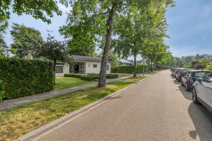 Jonge Hagen 17 Mheer thumbnail 45