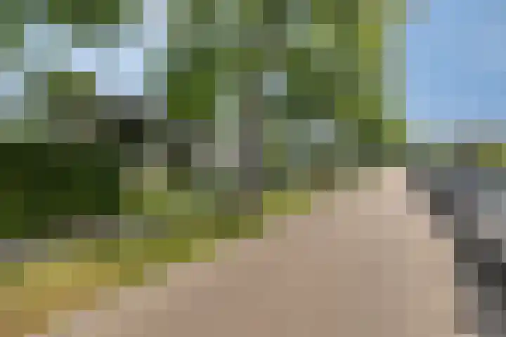 Jonge Hagen 17 Mheer thumbnail 45