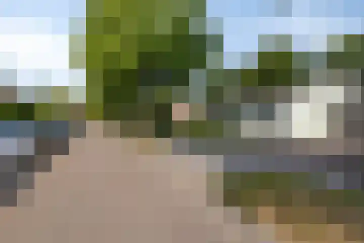 Jonge Hagen 17 Mheer thumbnail 46