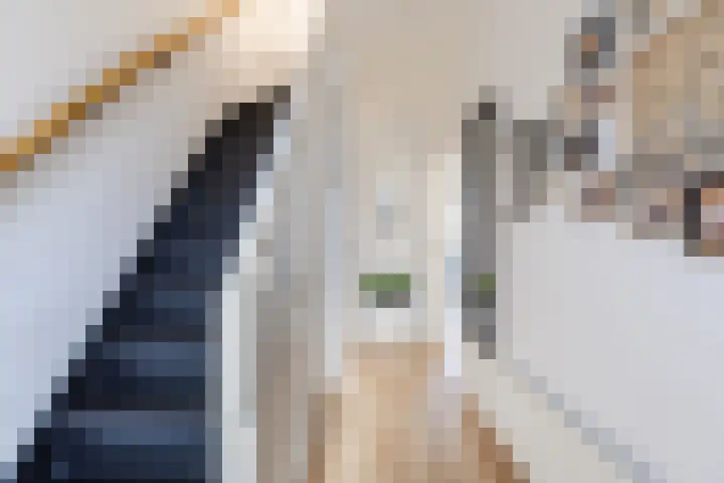 Jonge Kuiperstraat 14 Koog aan de Zaan thumbnail 11