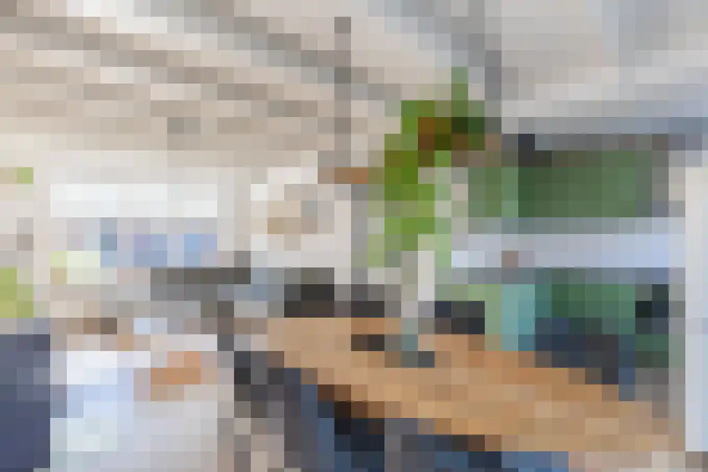 Jonge Kuiperstraat 14 Koog aan de Zaan thumbnail 16