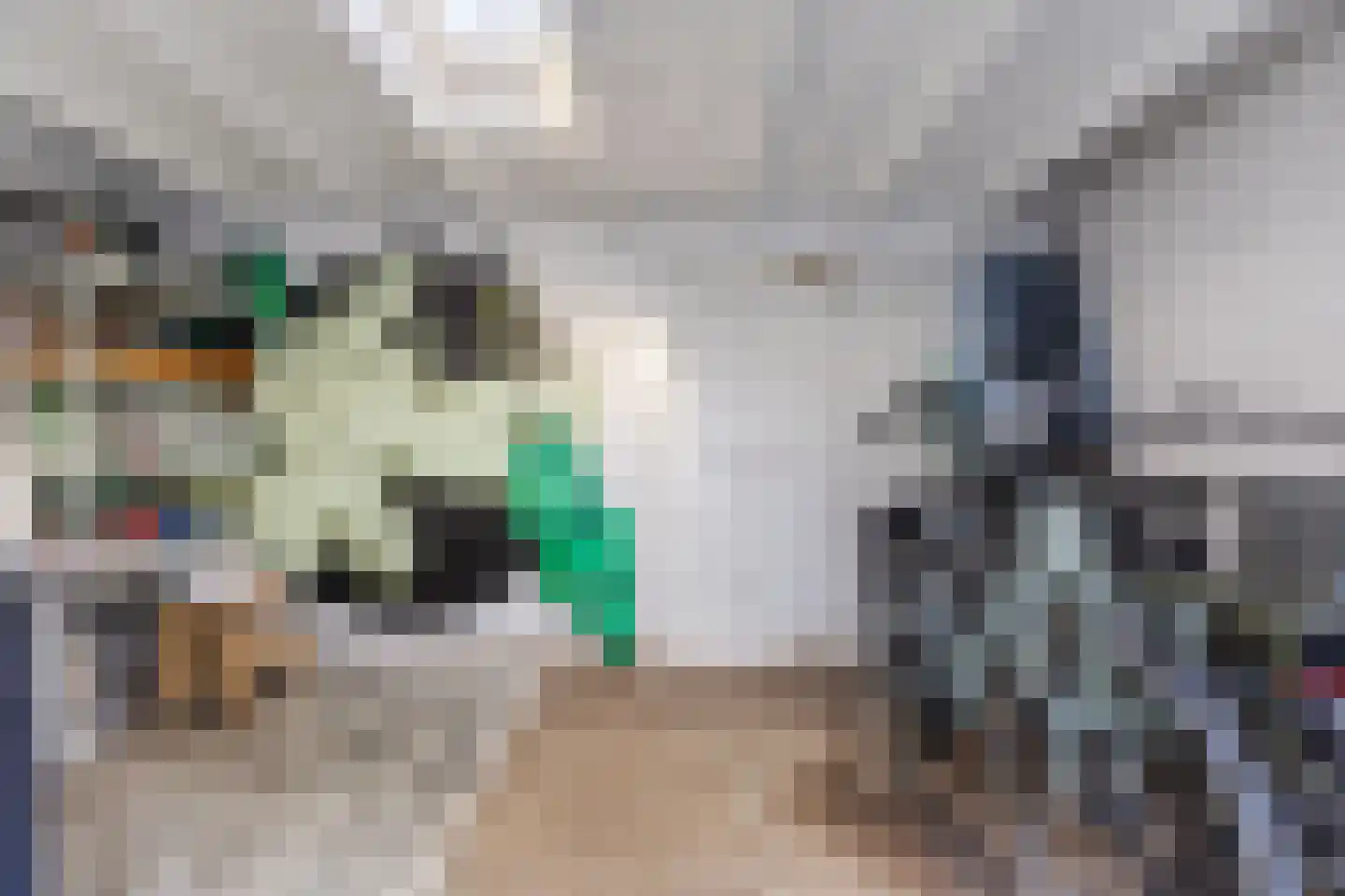 Jonge Kuiperstraat 14 Koog aan de Zaan thumbnail 33