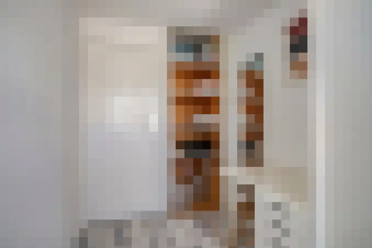 Jonge Kuiperstraat 8 Koog aan de Zaan thumbnail 22