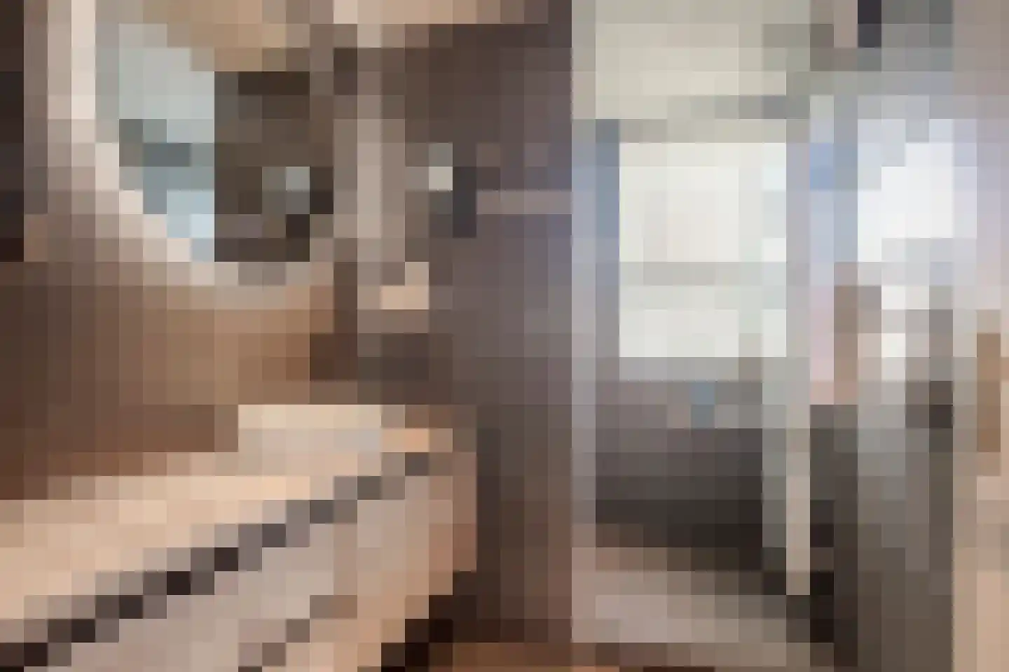 Jonge Kuiperstraat 8 Koog aan de Zaan thumbnail 25