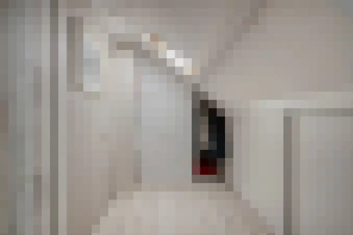 Jonge Kuiperstraat 8 Koog aan de Zaan thumbnail 27
